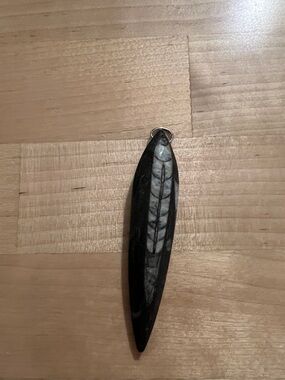 330 Million Year-Old Fossil Shrimp Pendant – Polished Stone w/ Silver Ring